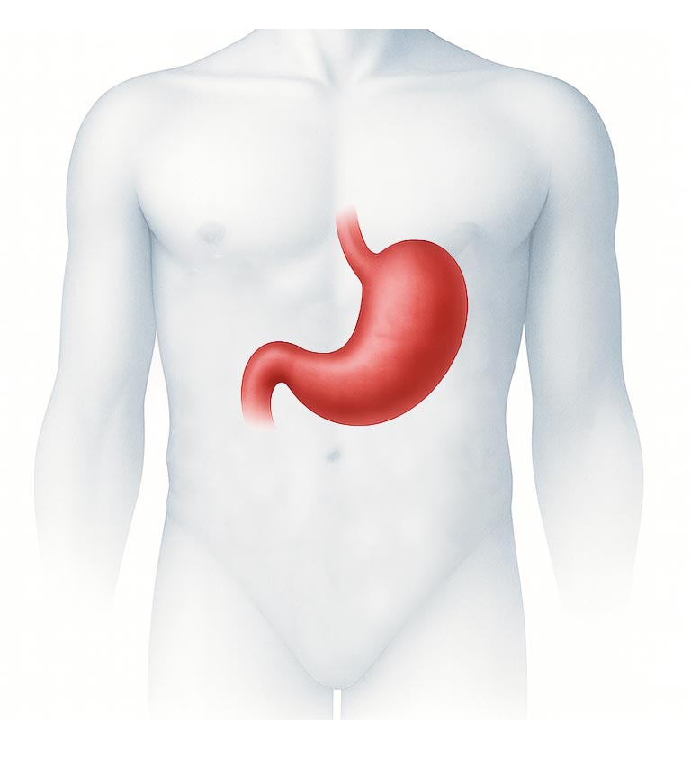胃がん（ステージ4・再発・転移）新たな可能性を拓く最新治療｜東京MIT