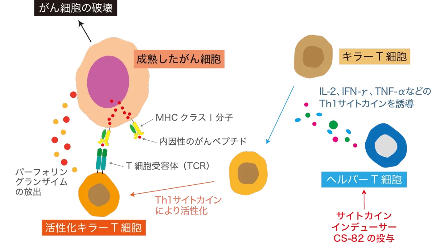 サイトカイン誘導のイラスト