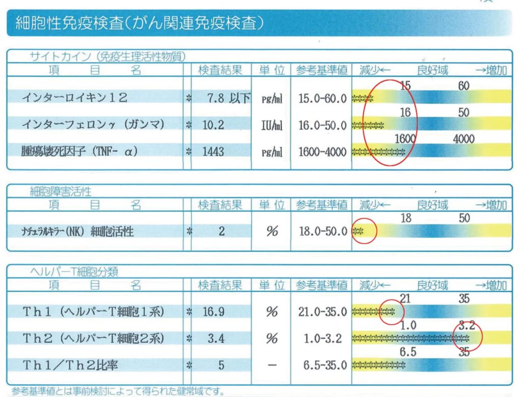 リスクチェッカー検査結果用紙