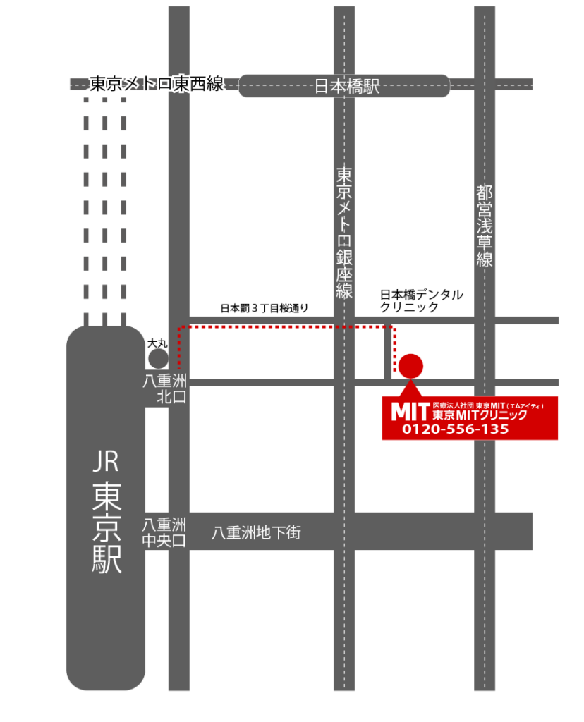 東京MITクリニックアクセスマップ