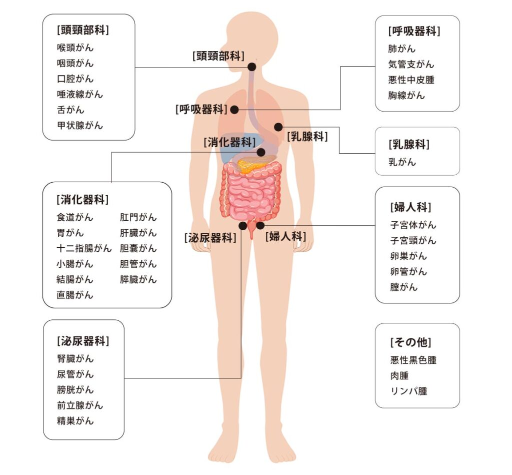 治療可能ながん部位イラスト