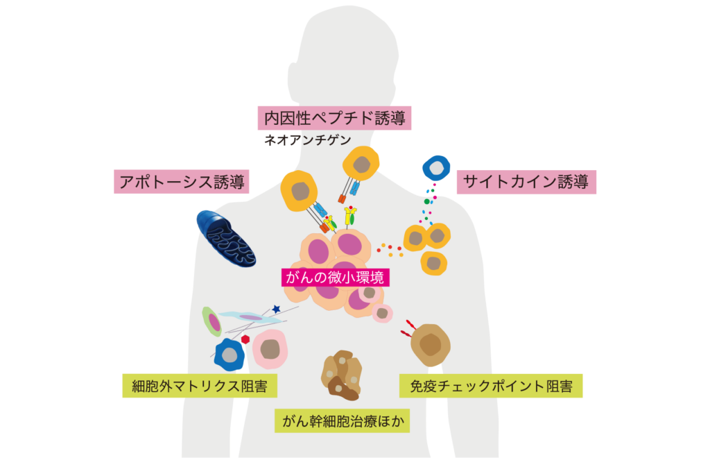 がんの目印ペプチド誘導の図