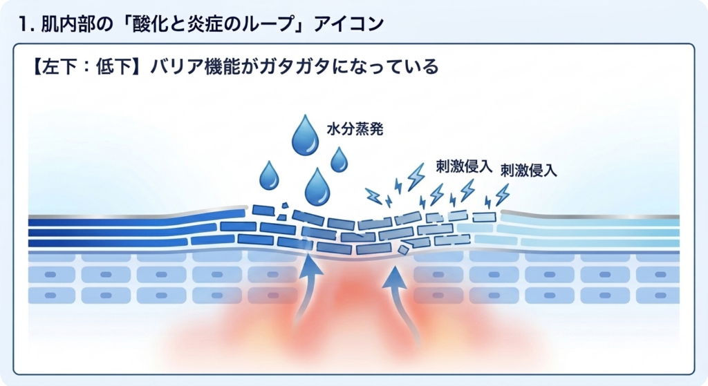 バリア機能がガタガタに崩壊し、外部刺激が侵入しやすくなった肌表面の断面図
