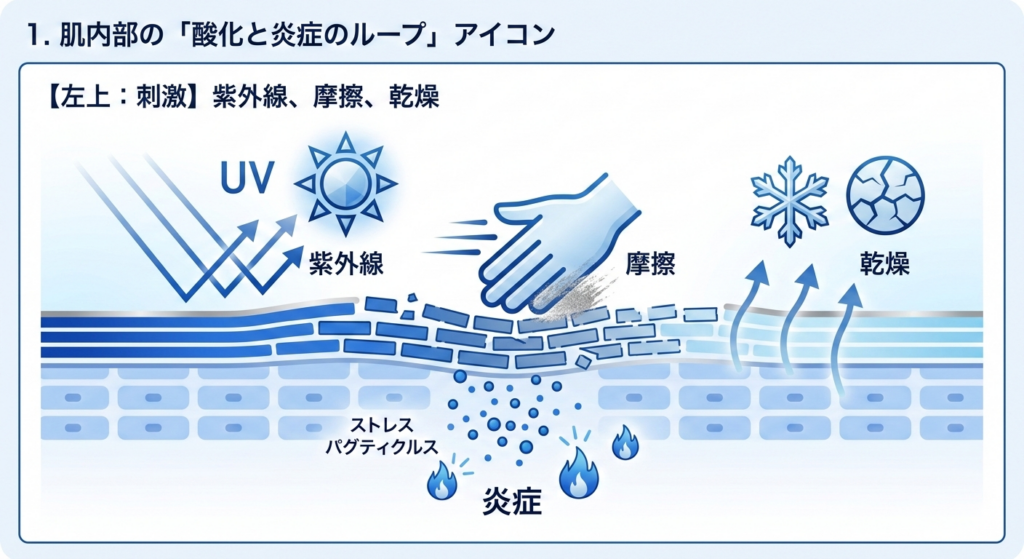 肌への外的刺激（紫外線・摩擦・乾燥）が角層にダメージを与えるイメージ図